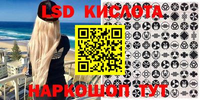 крисы Краснодар